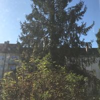 Fotos de Eveline Reinholz