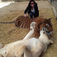 Laura Aristizabal的照片