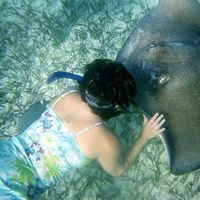 Fotos de Chandra Pan