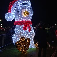 Xin Yuan Qian的照片