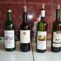 Photos de Helena Heidi