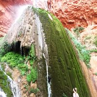 Ali Hennessy's Photo