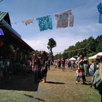 Fernando Perez Gamito的照片