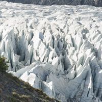 Shakir Ahmed的照片