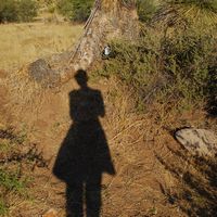 Fotos de Jamie Bonnell