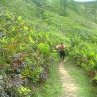 Diego Alonso的照片