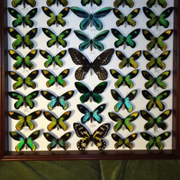 Michael Bosa's Photo