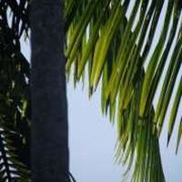 Fotos von Andréa Munier