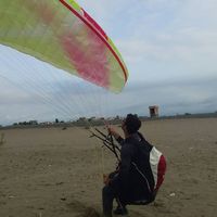 nader etminan的照片