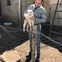 Photos de Yılmaz Dilek