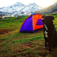 Rakesh  Sitharthan的照片