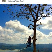 mega lestari's Photo