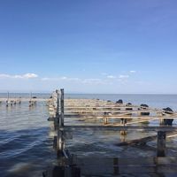 Le foto di Simon Sianyo