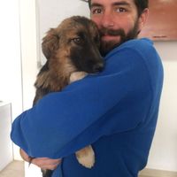 Alfredo Alarcon's Photo