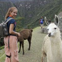 Lauri Gosling的照片