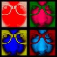 FLORIAN.LAUBE.5的照片