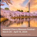 Bilder von National Cherry Blossom Festival 