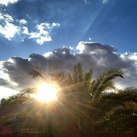 Fotos de shelley wheeler