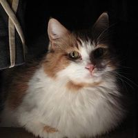 Katherine Shannon的照片