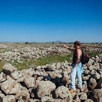 Benzi  Lederfein's Photo