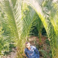 Photos de Cebrail Taşyürek