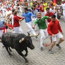 Running of the bulls's picture
