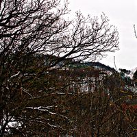 Eipius Saridakis的照片