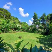 Mariette Stout's Photo