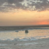 ismail rayan's Photo