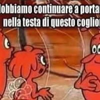 Imberti Luca's Photo