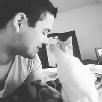 Paulo  Pereira's Photo