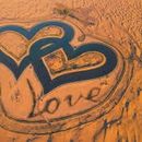 Chill & Camping @ Love lake Al Qudra 's picture