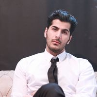 Seyed Homayoun  Hosseini的照片