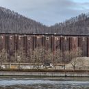 Hanging Out's picture