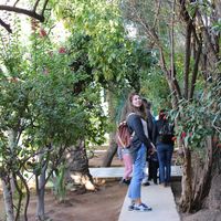 Eva Mittler的照片