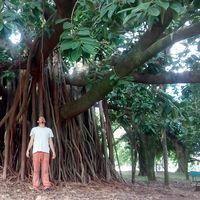 Sebastian Ramirez's Photo