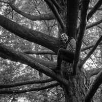 Nathaniel Falconer的照片