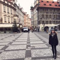 Jasmine Jiang的照片