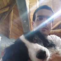 Photos de Nicolás Ugarte