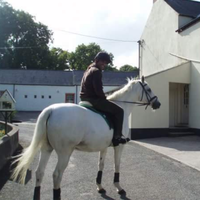 Fotos de AD Albalushi