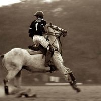 Venkatesh Jindal's Photo