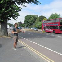 Max van Veen's Photo