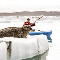 Zanet Adventurer's Photo