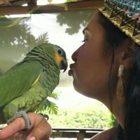 Kity Barreto的照片