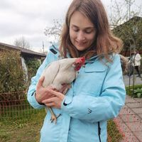 Terhegen Josi的照片