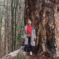 Alfiya Shamsutdinova's Photo