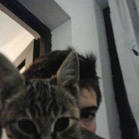 Eva Mlinarič的照片