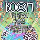 Boom Festival 2022's picture