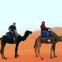 Lisa Connolly's Photo