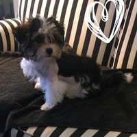 Kathryn Fisher的照片